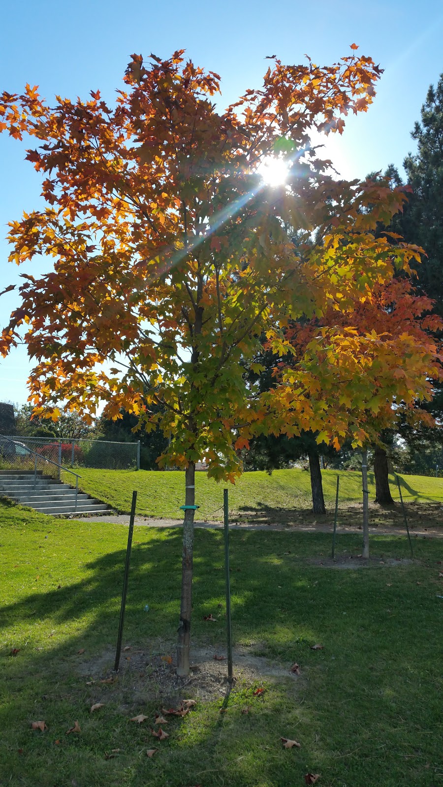 Cliffwood Park | 280 Cliffwood Rd, North York, ON M2H 2S7, Canada | Phone: (416) 338-4386