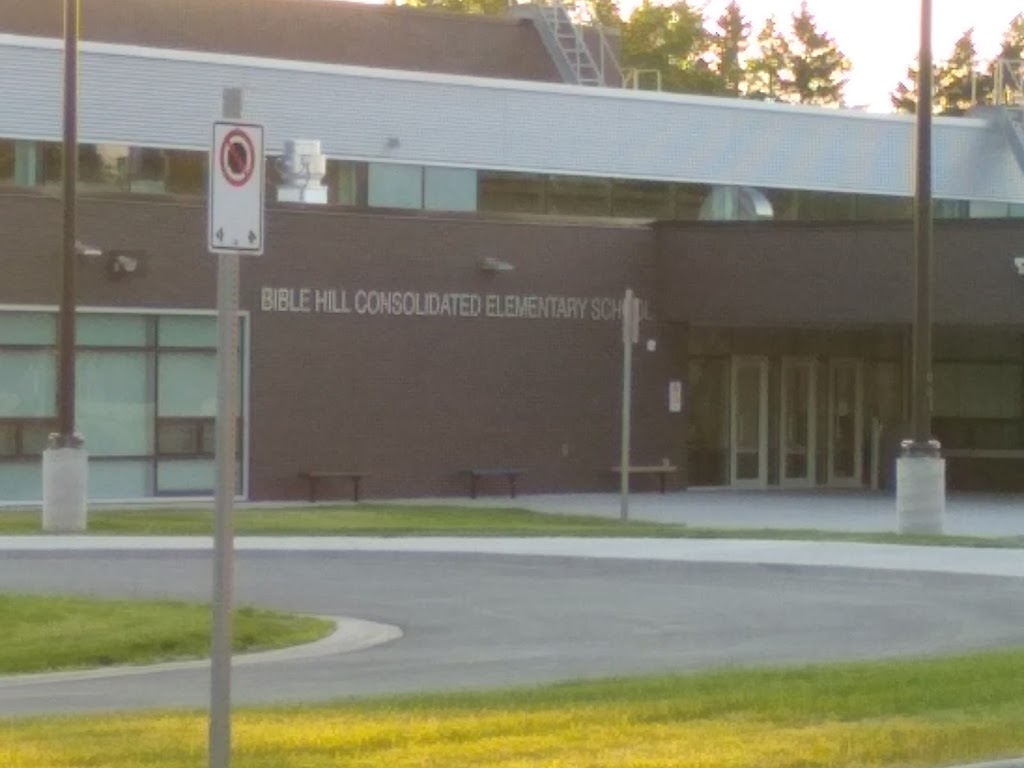 Bible Hill Consolidated Elementary School | school | 103 Pictou Rd, Truro, NS B2N 2S2, Canada | 9028965511 OR +1 902-896-5511