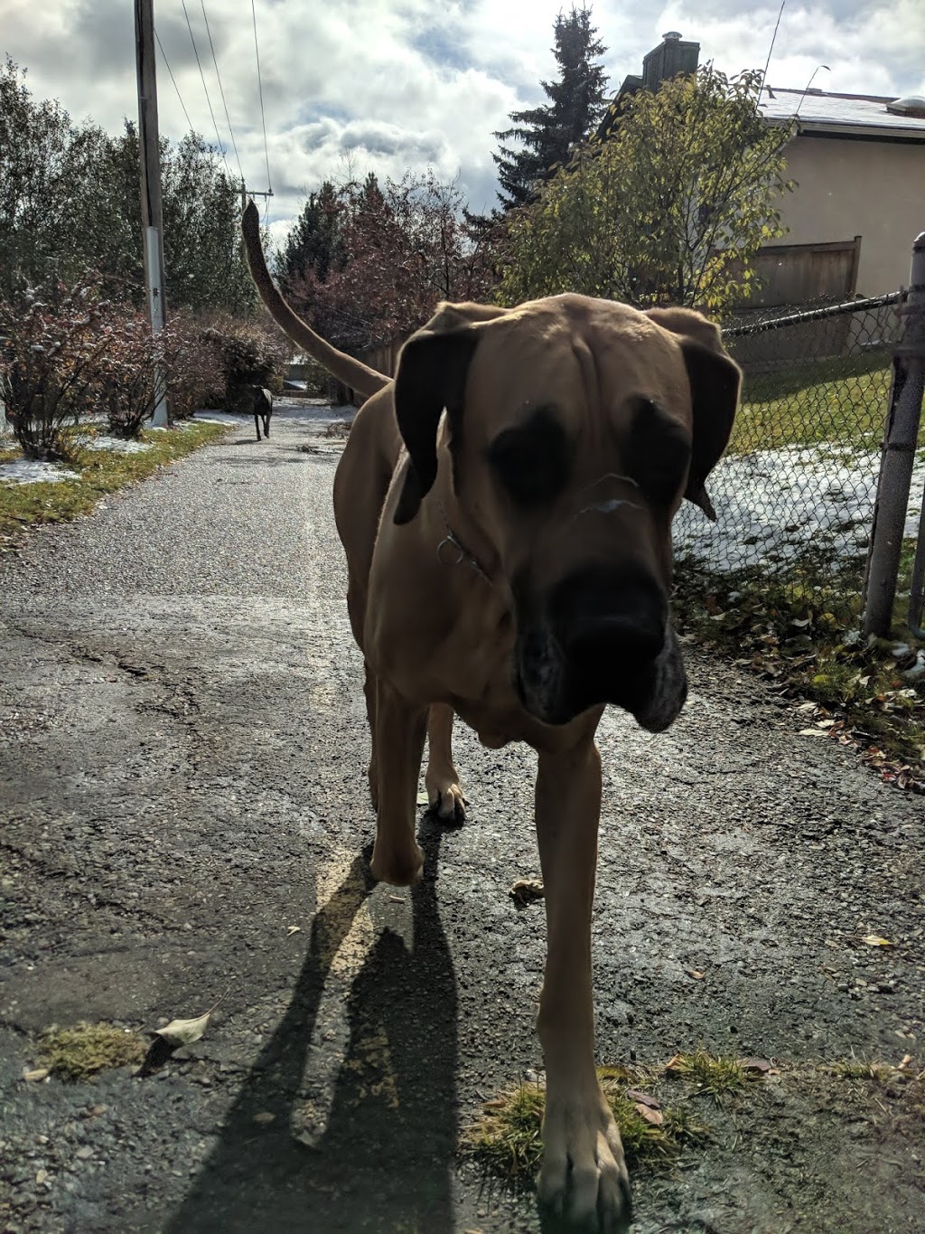 Off Leash Park | 188-200 Ranch Estates Dr NW, Calgary, AB T3G 1K6, Canada