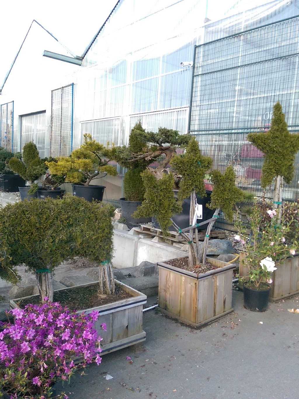 Garden In Gardens Greenhouse Ltd | 7600 No 5 Rd, Richmond, BC V6Y 2V2, Canada | Phone: (604) 233-2323