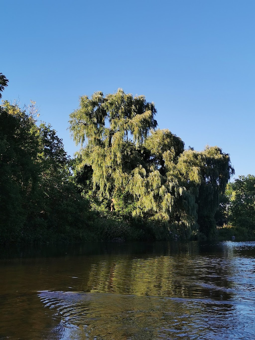 Elora Paddle Company | 11 E Mill St, Elora, ON N0B 1S0, Canada | Phone: (226) 337-6867