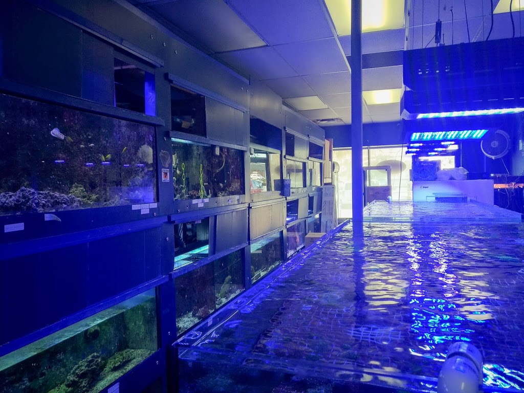 Peters Reef Pond | 463 Falconbridge Rd, Sudbury, ON P3A 3Z8, Canada | Phone: (705) 521-0050