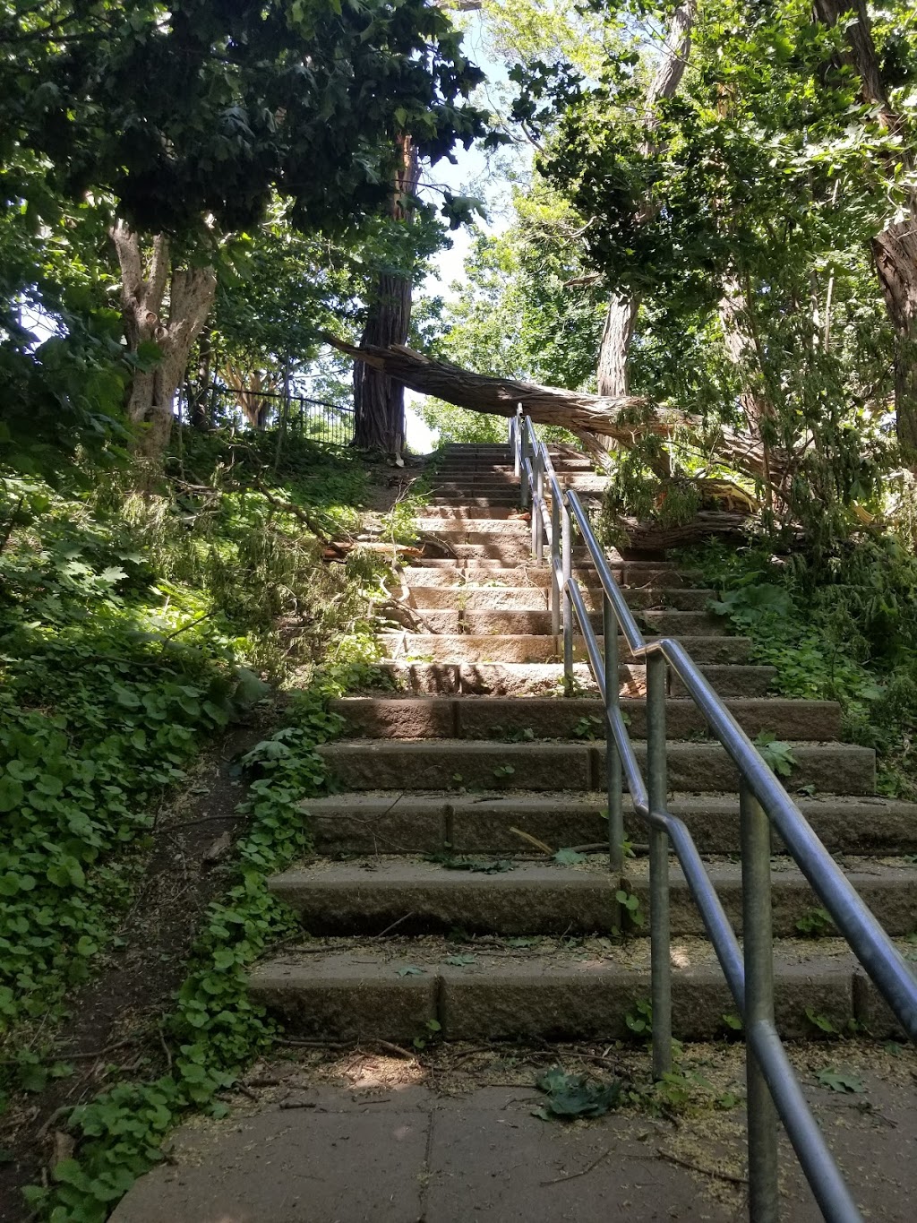 Hillcrest Park | 950 Davenport Rd, Toronto, ON M6G, Canada