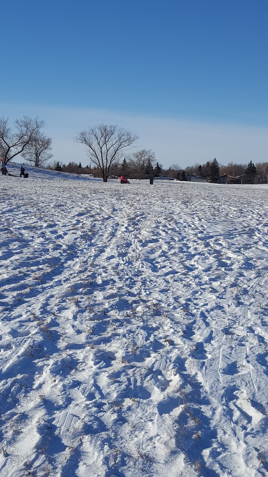 Bothwell Park | crescent 5y9, 90 Bothwell Crescent, Regina, SK S4R 5Y9, Canada | Phone: (306) 777-7000