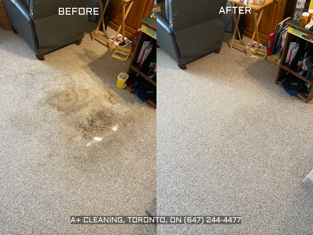 Thornhill Carpet and Upholstery Cleaning Services | 10 Donisi Ave, Vaughan, ON L4J 6G5, Canada | Phone: (647) 244-4477
