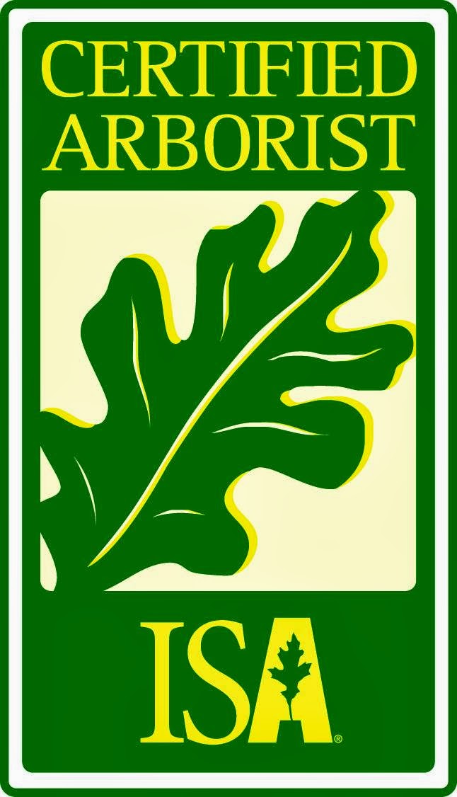 Cloverhill Arborist Services | 5289 Boyne St, Alliston, ON L9R 1V2, Canada | Phone: (705) 220-5780