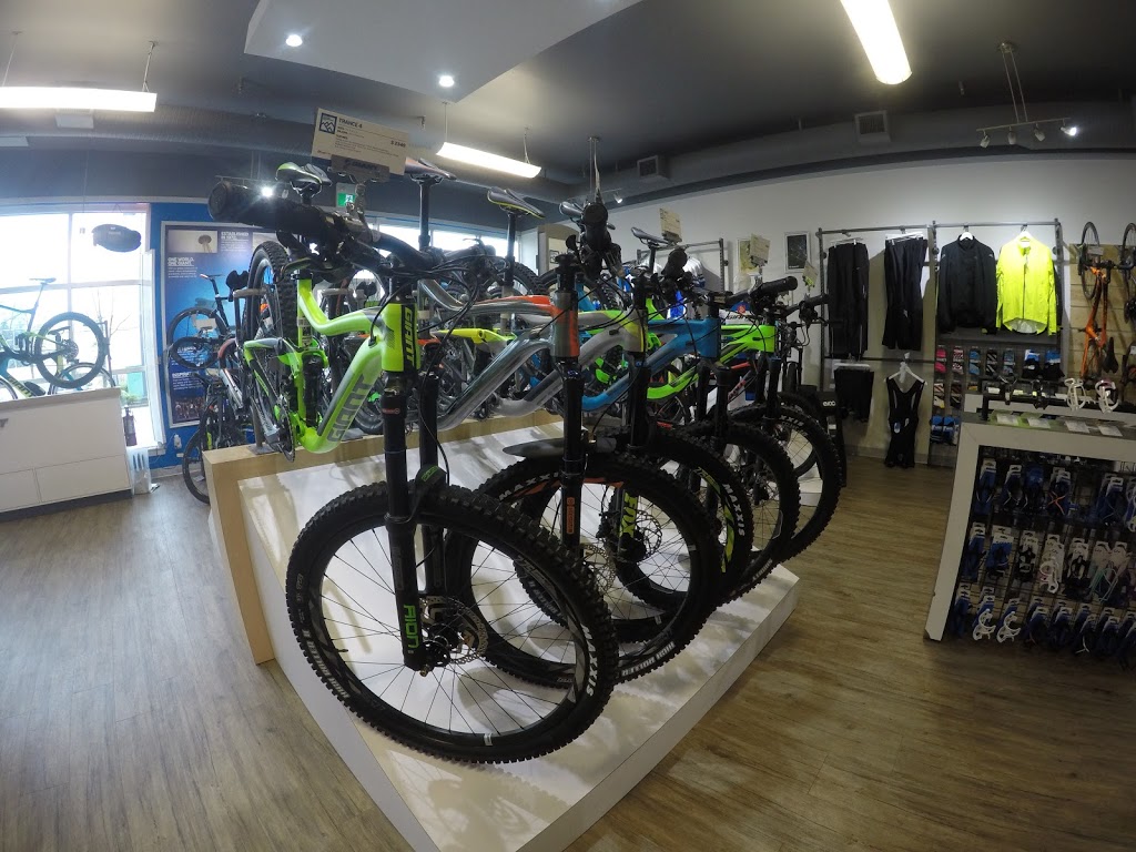 Giant Langley | 20353 64 Ave, Langley City, BC V2Y 1N5, Canada | Phone: (604) 534-3993