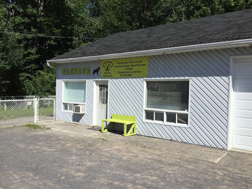 Service Canins Lucky | 3830 Chem. Du Bon Air, Sainte-Julienne, QC J0K 2T0, Canada | Phone: (514) 795-8945