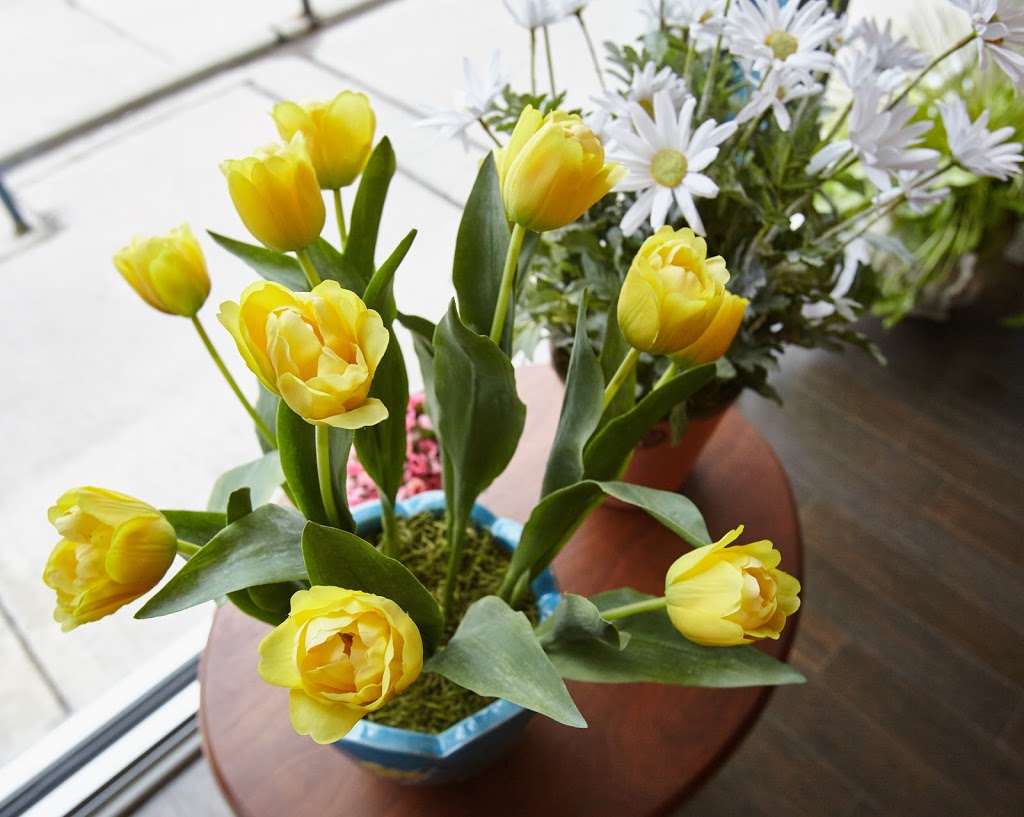 Clazzique Touch Silk Floral Design & Décor | 1046 King St W, Hamilton, ON L8S 1L5, Canada | Phone: (905) 923-9467