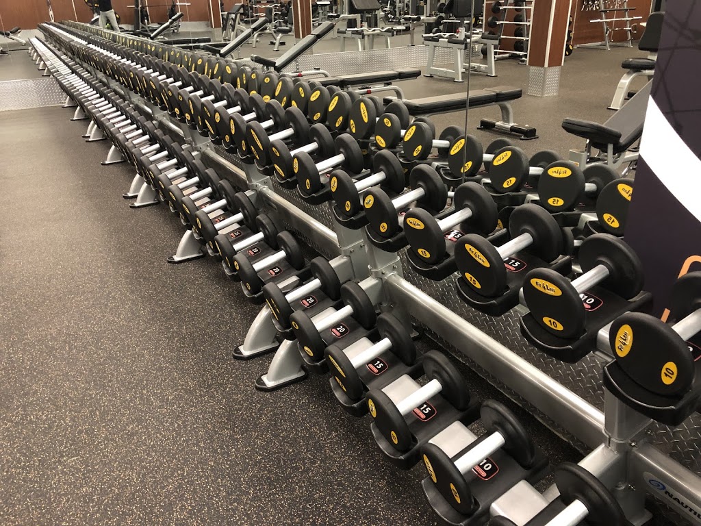 Fit4Less | 1925 Dundas St Unit 9B, London, ON N5V 1P7, Canada | Phone: (519) 451-9026