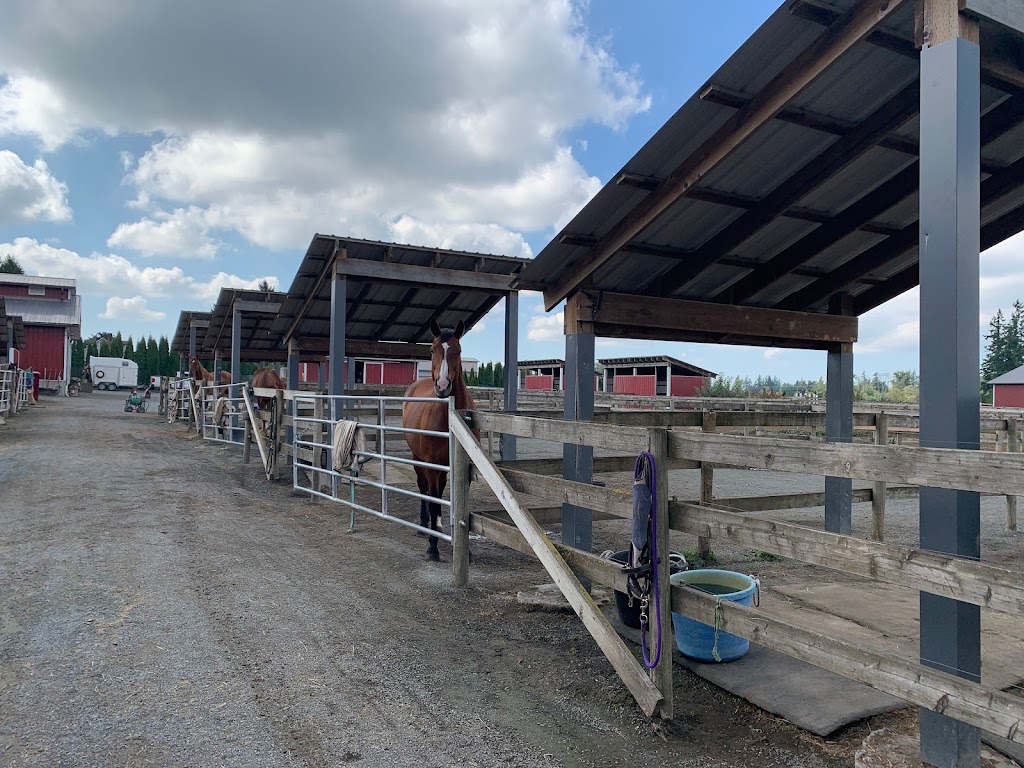 Bekevar Farms | 2863 240 St, Langley, BC V2Z 1N3, Canada | Phone: (778) 999-2692