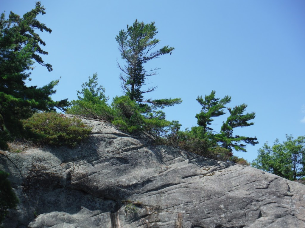 Ricks Marina | 2791 Honey Harbour Rd, Honey Harbour, ON P0E 1E0, Canada | Phone: (905) 520-7510