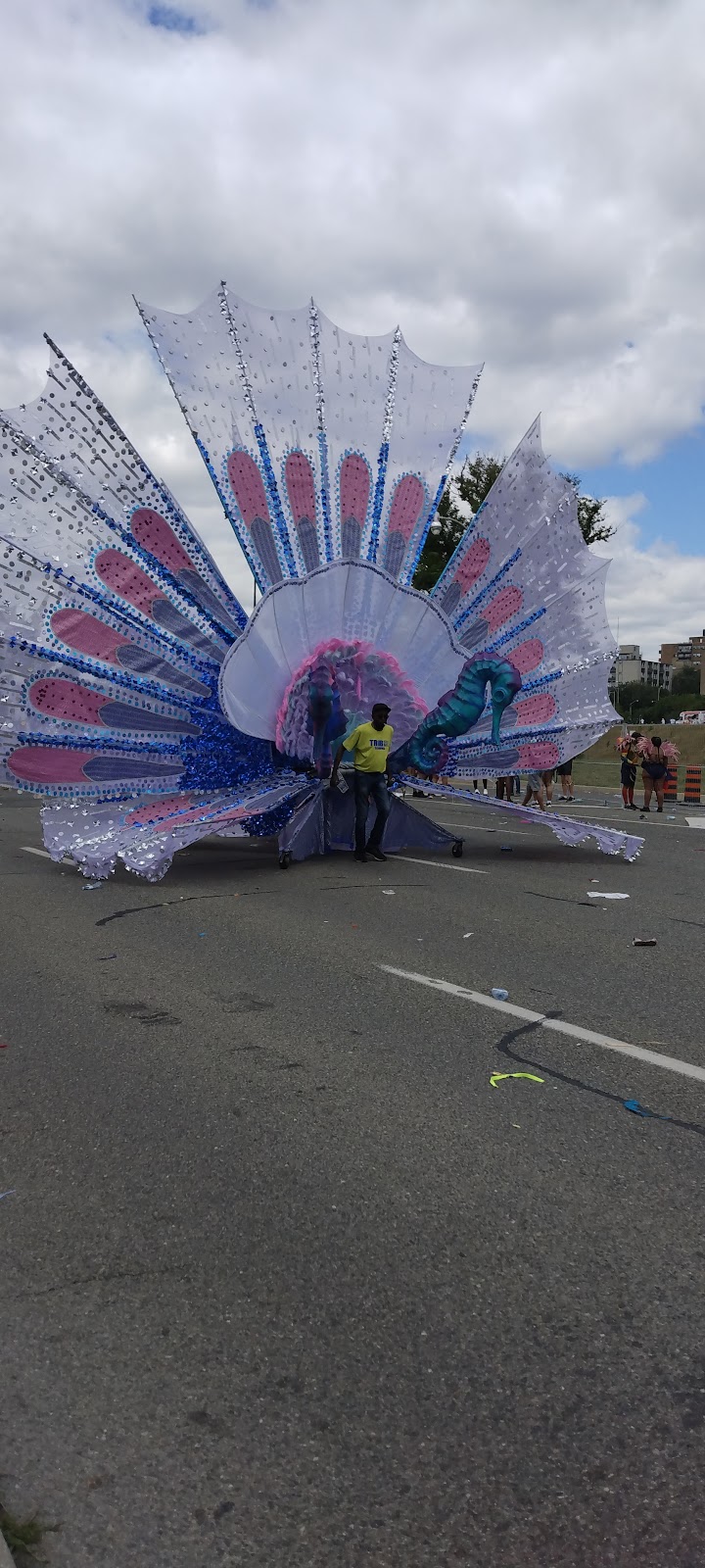 Toronto Caribbean Carnival | 12 Cranfield Rd Suite 210, East York, ON M4B 3G8, Canada | Phone: (416) 391-5608