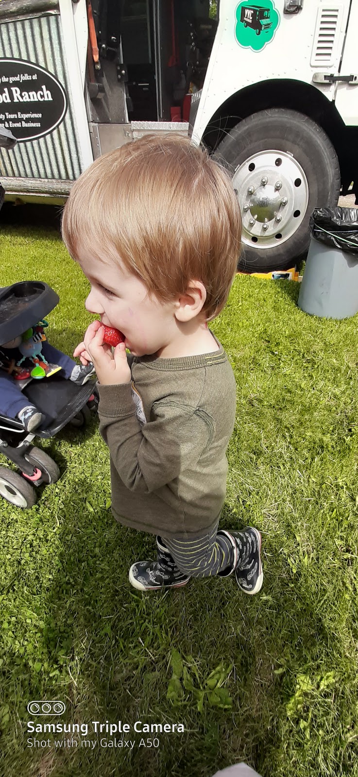 Okotoks Farmers Market | 322041 15 St E, De Winton, AB T0L 0X0, Canada | Phone: (403) 992-9044