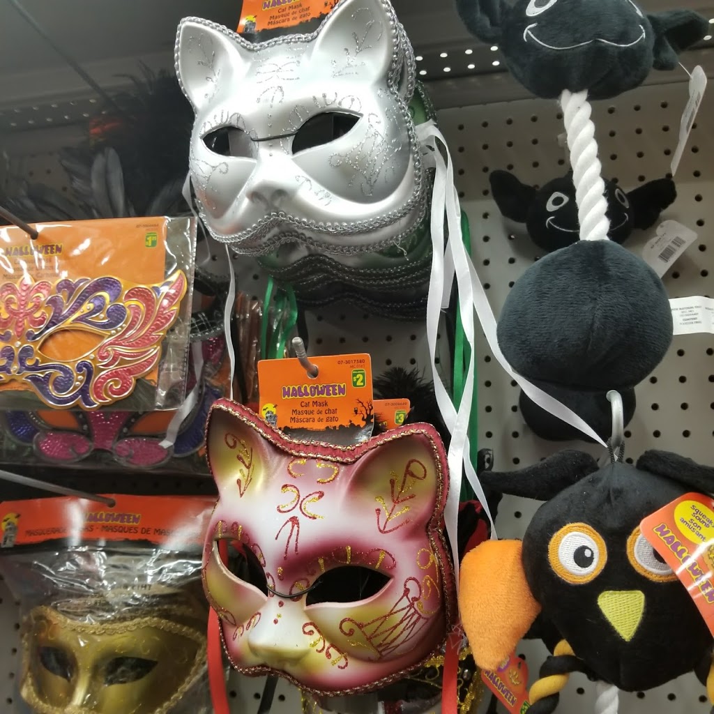 Dollarama | 36 Young St, Alliston, ON L9R 0E9, Canada | Phone: (705) 434-2049