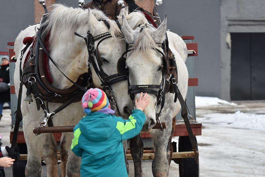Twin Maples Farm | 1227 Base Line Rd, Severn Bridge, ON P0E 1N0, Canada | Phone: (705) 689-0182