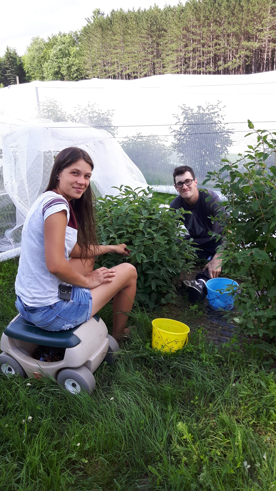 Aux Champs Mère-Terre | 35 Chem. Fontaine, Mansonville, QC J0E 1X0, Canada | Phone: (450) 525-3546