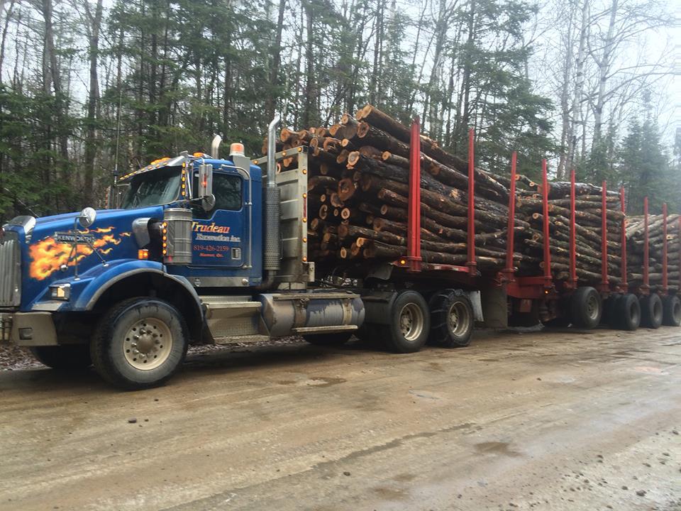 Trudeau Excavation INC. | 778 Route 323 Sud, Namur, QC J0V 1N0, Canada | Phone: (819) 664-6651