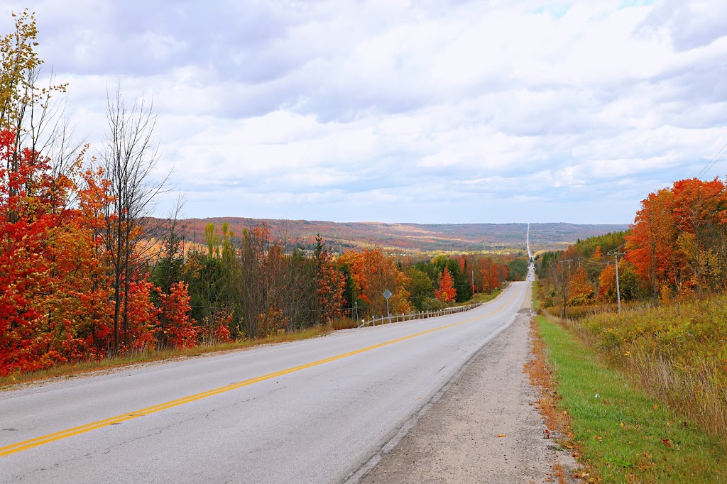 Epping Lookout Conservation Area | Eric Winkler Pkwy, Grey Highlands, Ontario, Canada, Grey Highlands, ON N0C 1G0, Canada | Phone: (519) 376-3076