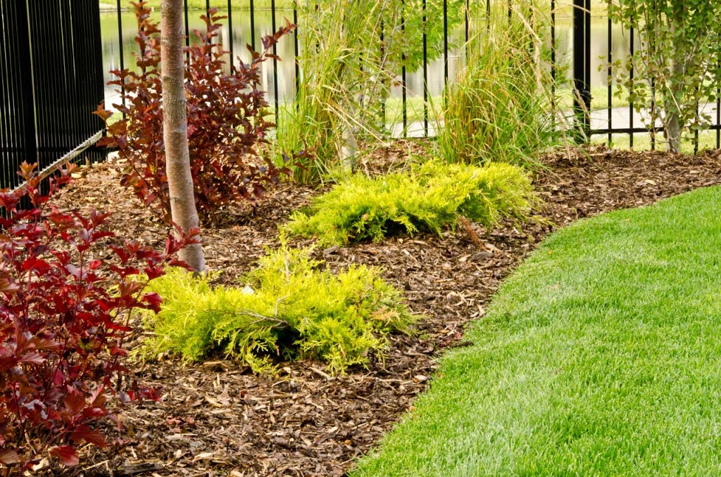 Park Landscaping Ltd | 20924 100 Ave NW, Edmonton, AB T5T 5X8, Canada | Phone: (780) 486-2744
