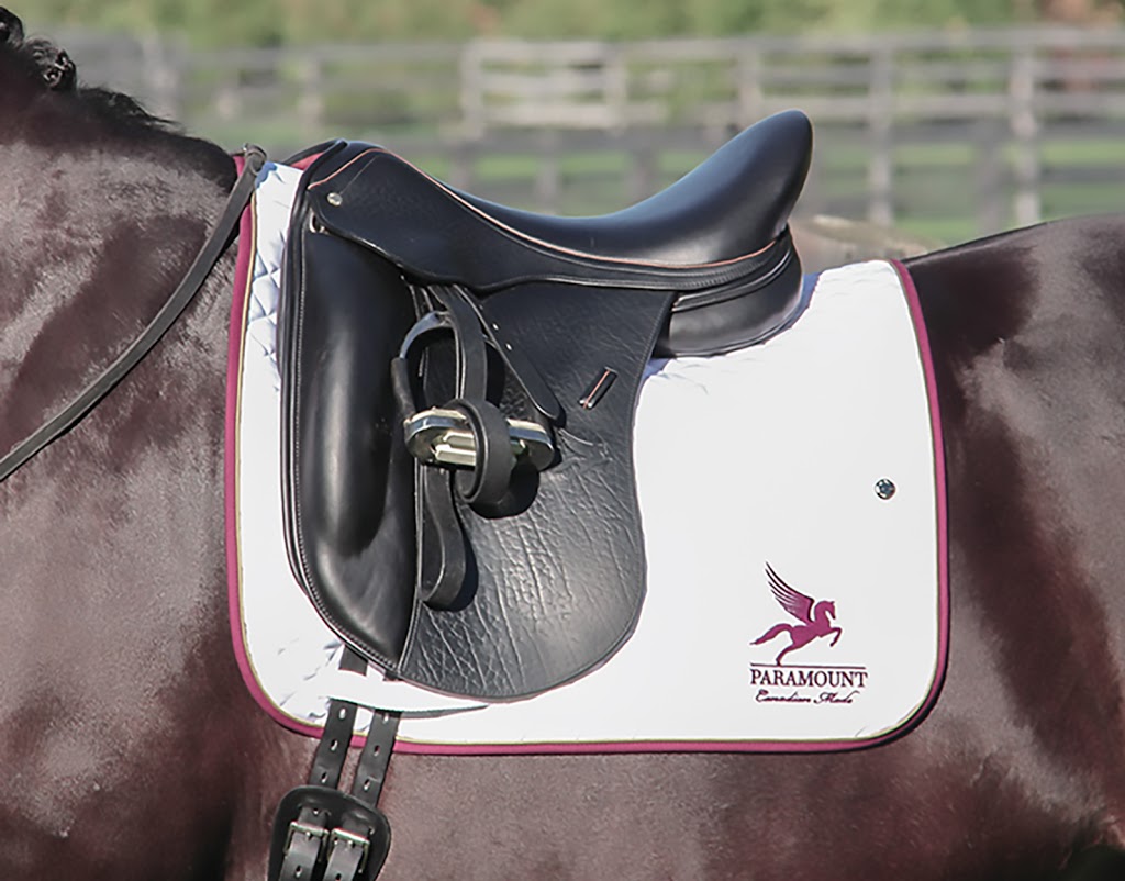 Paramount Saddlery | 1942 Wilby Rd, Baden, ON N3A 3M9, Canada | Phone: (519) 501-7222