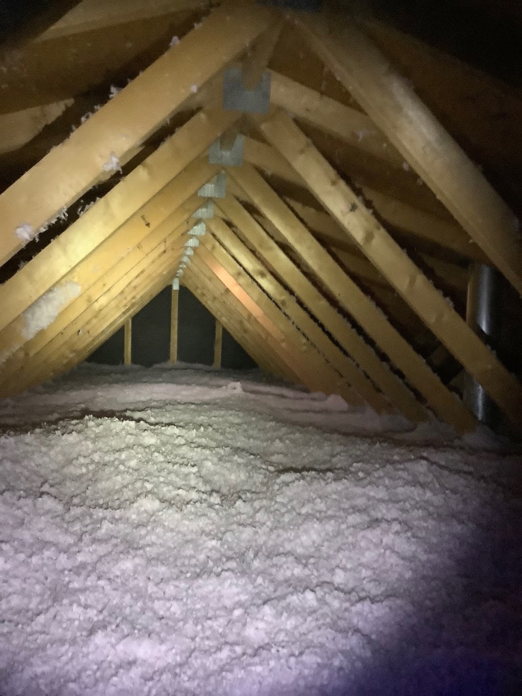 Tanicor Home Inspections | 66 Westwood Dr SW, Calgary, AB T3C 2V7, Canada | Phone: (403) 968-8970