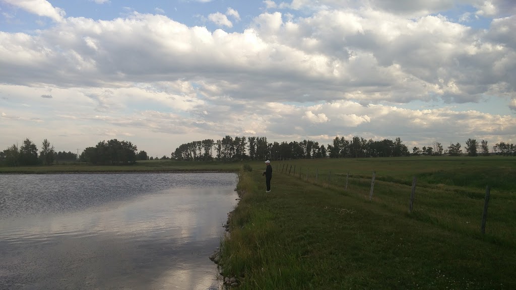 Crossfield Fish Pond | Fish Pond, Crossfield, AB T0M 0S0, Canada | Phone: (403) 555-1234