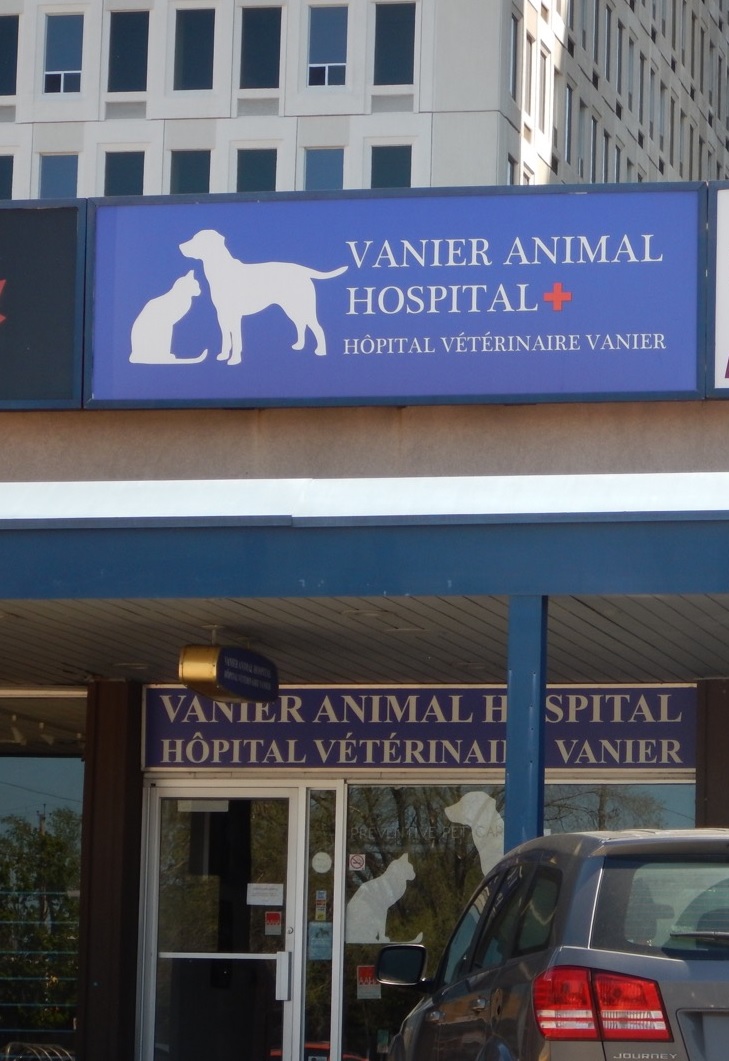 Vanier Animal Hospital | 23-C Selkirk St (Located in Eastview Plaza), Ottawa, ON K1L 6N1, Canada | Phone: (613) 748-1234