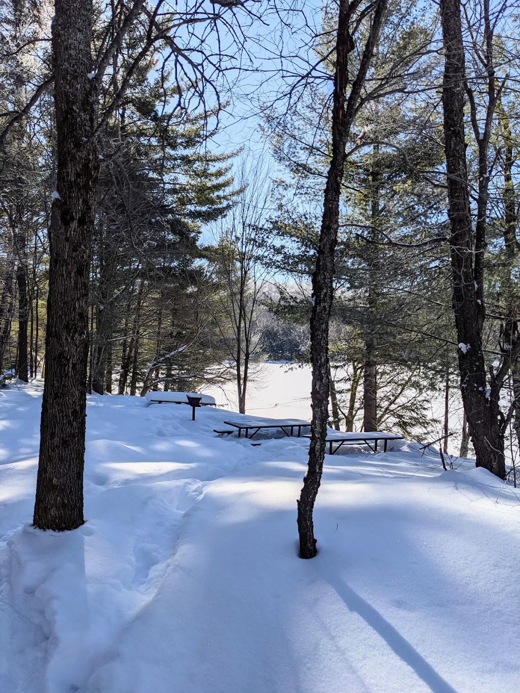 Mayflower Lake Trail | Huntsville, ON P1H 2J4, Canada | Phone: (705) 789-5105