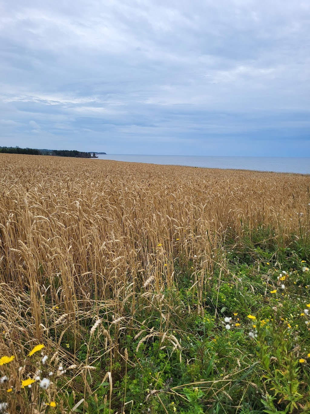 Argyle Shore Provincial Park | Argyle Park Rd, Argyle Shore, PE C0A 1C0, Canada | Phone: (902) 675-7475