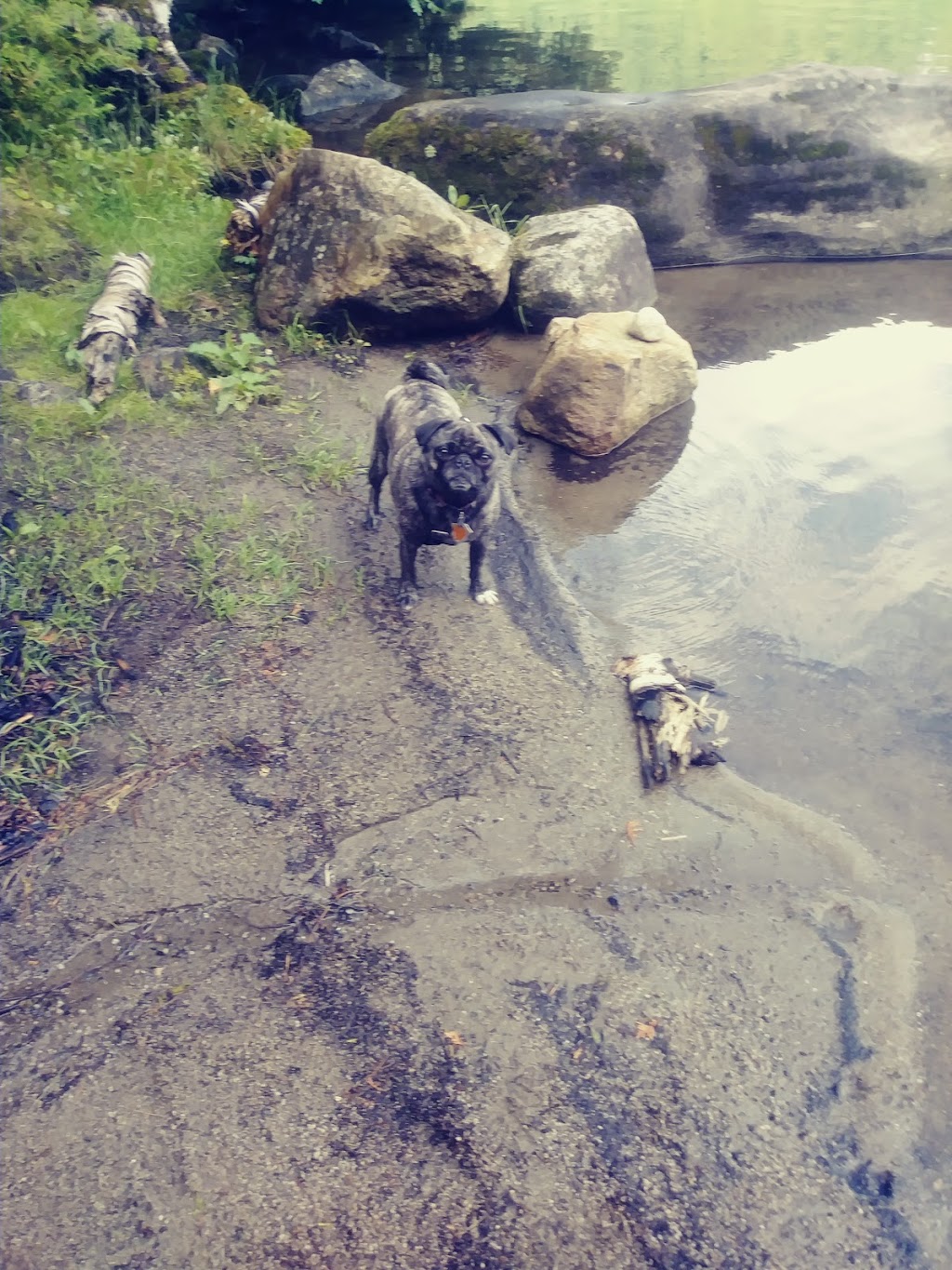 Jobs Pond Public Boat Launch | 05860, 2985 Newark Rd, West Burke, VT 05871, USA