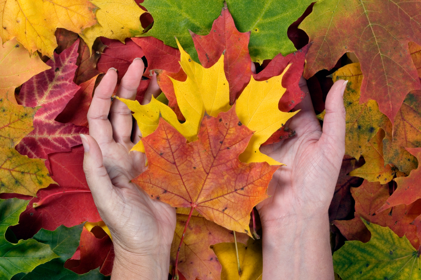 All Seasons Massage Therapy | 4895 201 St, Langley, BC V3A 0H1, Canada | Phone: (778) 908-8279