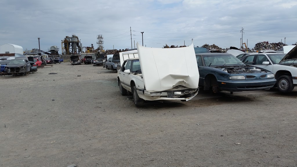 Bucks Auto Parts Regina | 3081 Pasqua St N, Zehner, SK S0G 5K0, Canada | Phone: (306) 721-7283