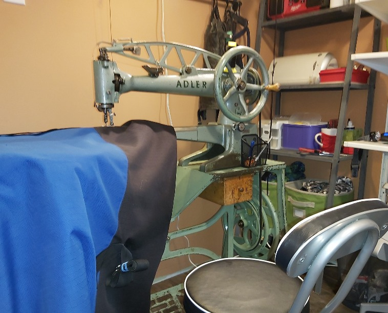 Frog Hollow Equine Services | 52128 Range Rd 14, Carvel, AB T7Y 2E1, Canada | Phone: (780) 905-8377