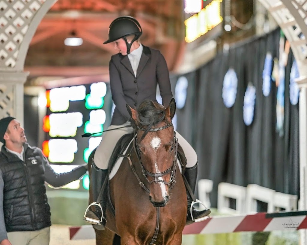 Benchmark Equestrian | 226039 88 St E, De Winton, AB T0L 0X0, Canada | Phone: (403) 397-0680