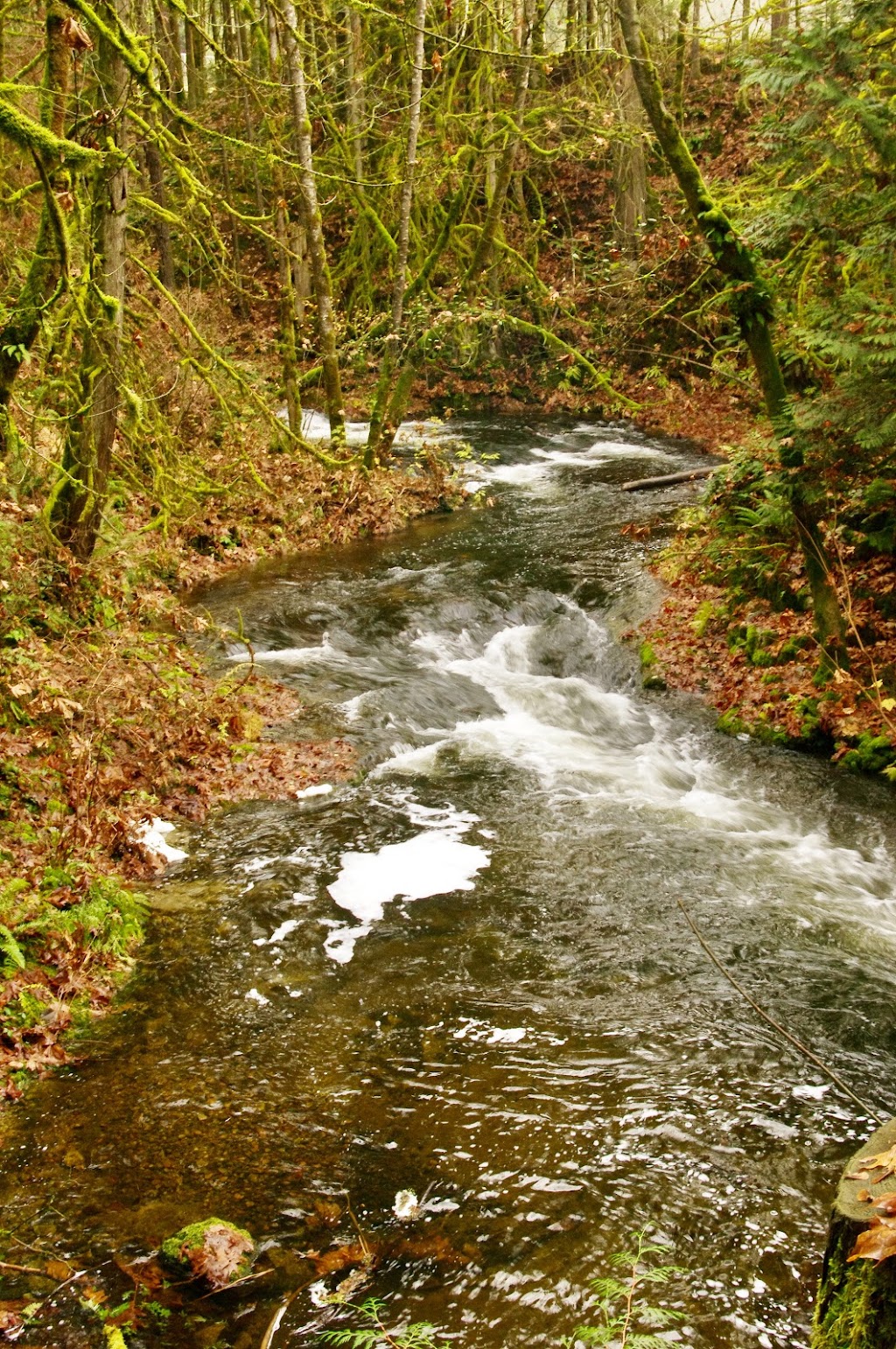 Kerry Park Recreation Centre | 1035 Shawnigan Lake-Mill Bay Rd, Mill Bay, BC V0R 2P2, Canada | Phone: (250) 743-5922