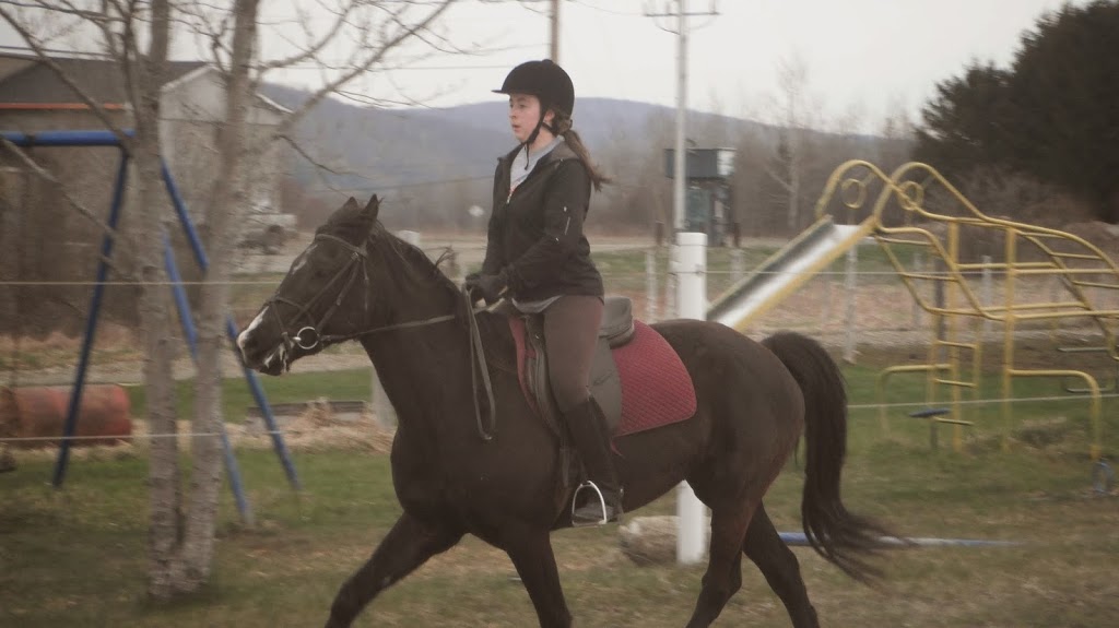 SEQS;Société DEquitation Quatre Saisons; | 6240 QC-112, Ascot Corner, QC J0B 1A0, Canada | Phone: (819) 829-4346