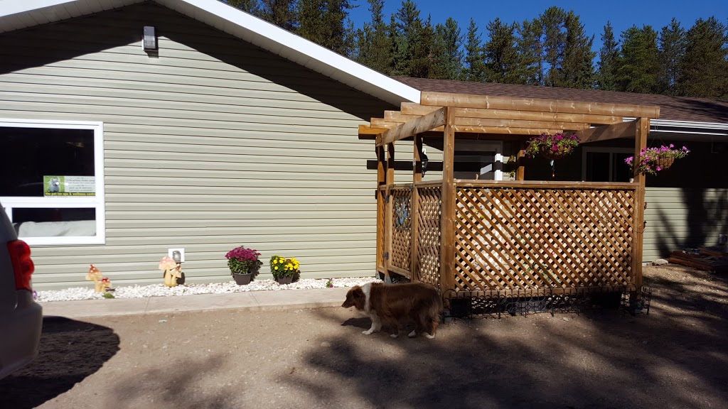 Pet Inn Spa & Wellness Ctr | 1345 Island Lake Rd, Fowler, ON P0T, Canada | Phone: (807) 768-0768