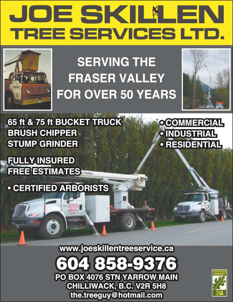 Joe Skillen Tree Services Ltd. | 42244 Yarrow Central Rd, Chilliwack, BC V2R 5H8, Canada | Phone: (604) 858-9376