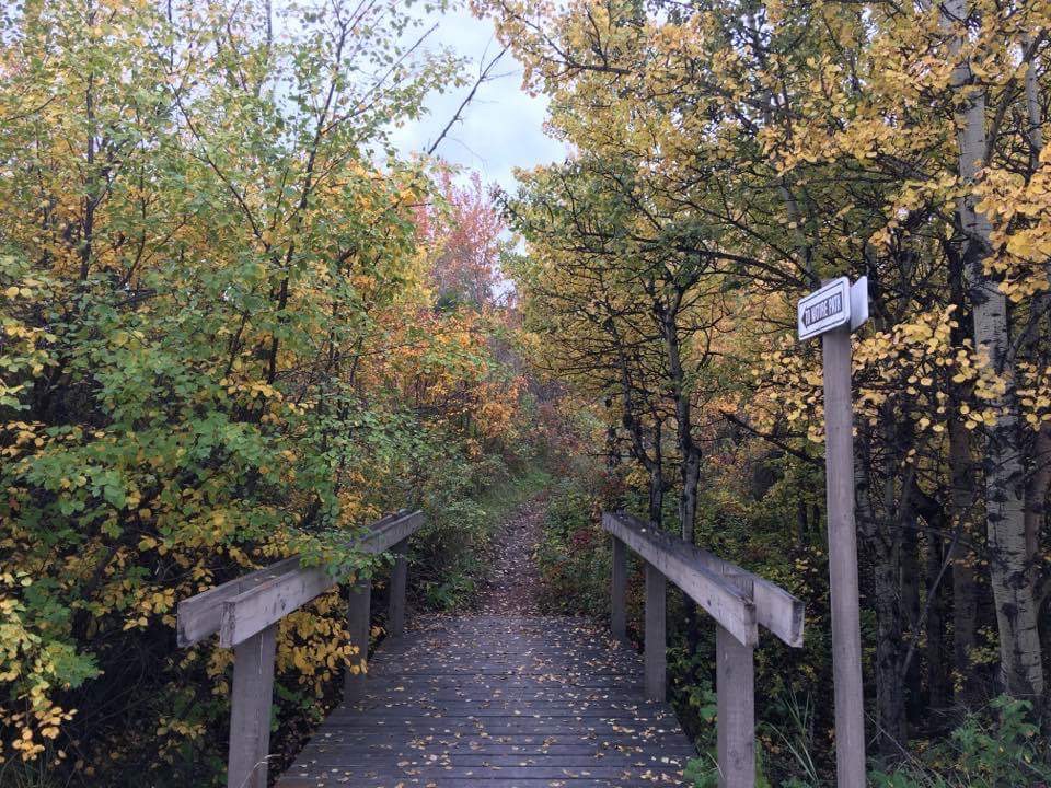 Calgary West Campground | 221 101 St SW, Calgary, AB T3B 5T2, Canada | Phone: (403) 288-0411