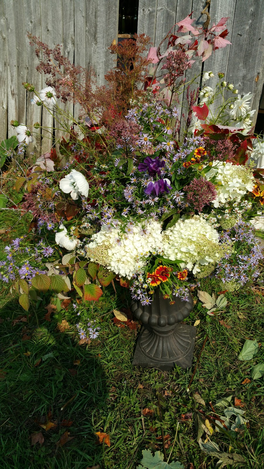 Ardelia Farm & Co. | 3118 W Glover Rd, Irasburg, VT 05845, USA | Phone: (802) 323-4178