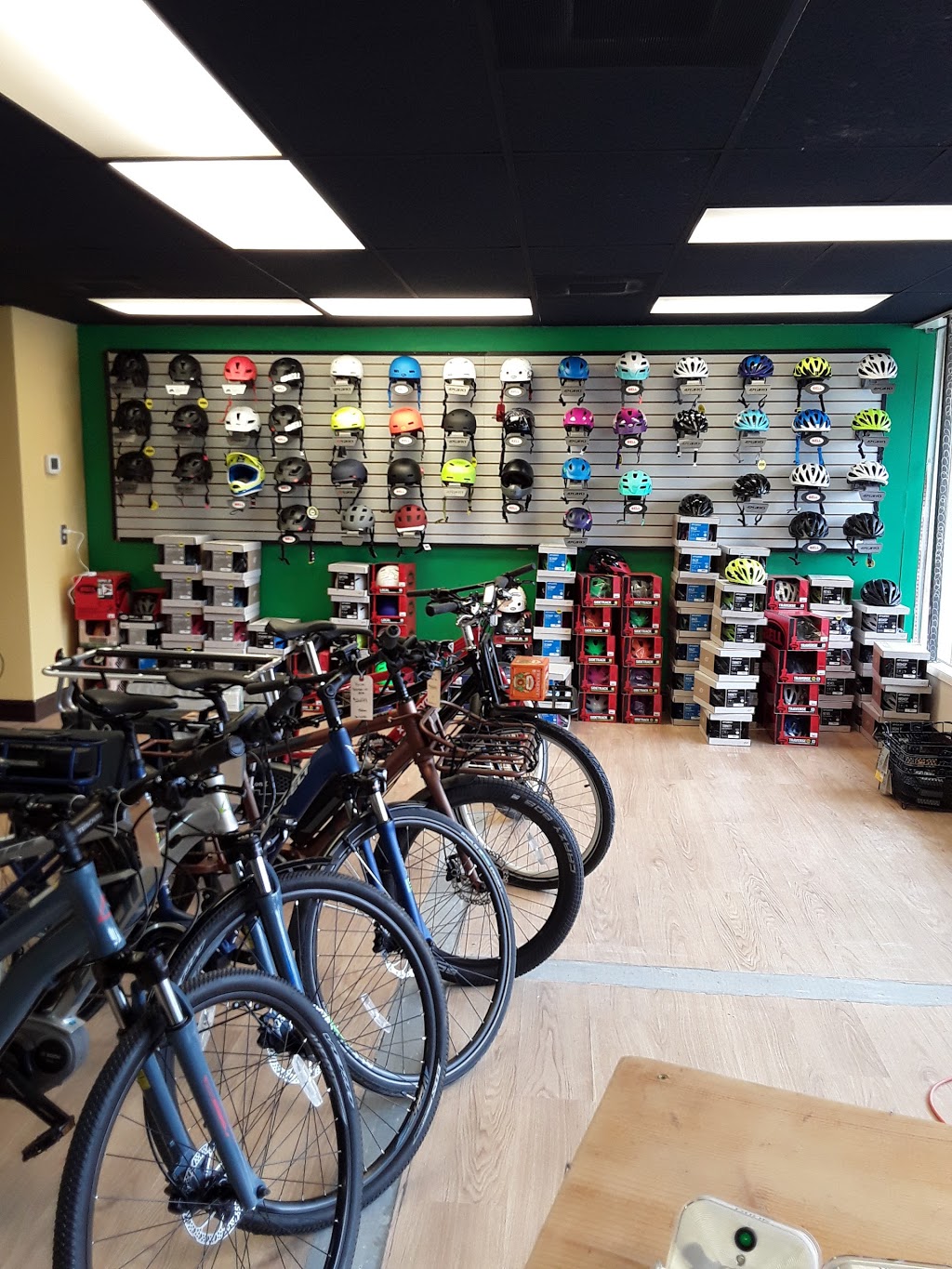 Earls Bike Shop | 2827 Meridian St, Bellingham, WA 98225, USA | Phone: (360) 746-2401
