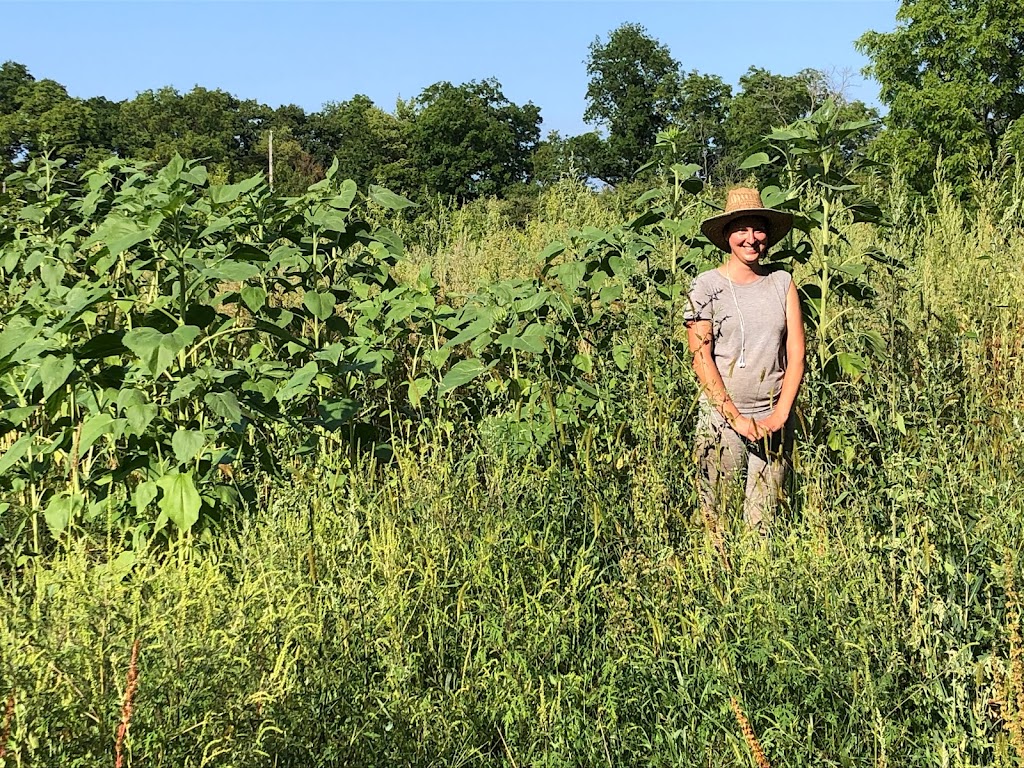 Rhizome Farms | 1699 Third Street Louth, St. Catharines, ON L2R 6P9, Canada | Phone: (905) 329-3256