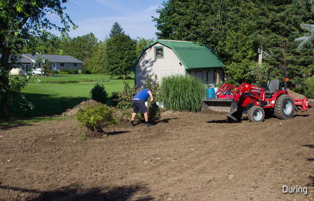 Shark Lawn Specialists | 6924 Horizon Trail, Millbank, ON N0K 1L0, Canada | Phone: (519) 900-5684