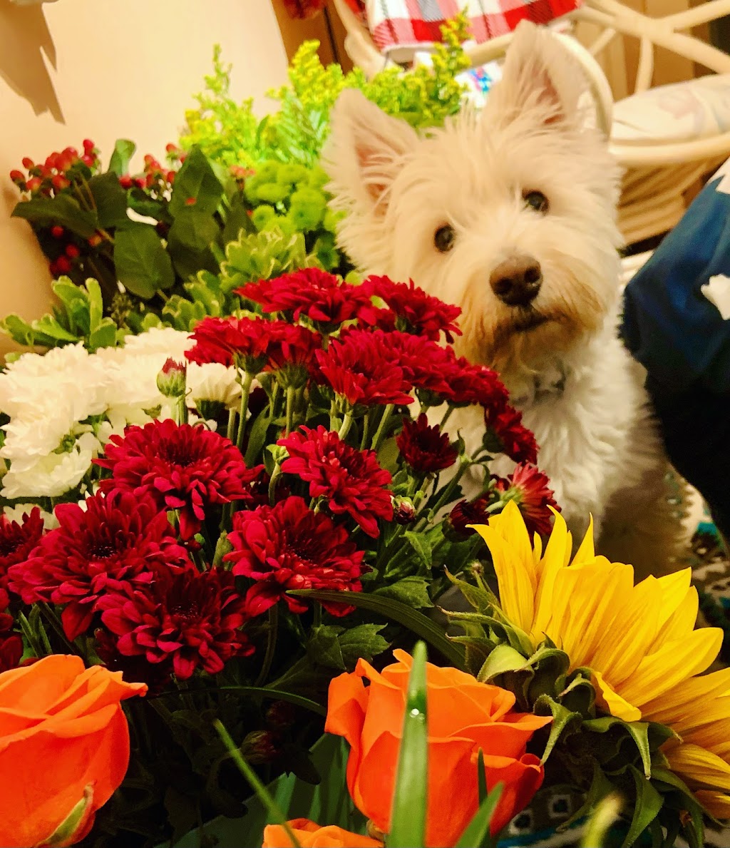Westie Flowers | 5020 54 Ave, Eckville, AB T0M 0X0, Canada | Phone: (403) 358-8414