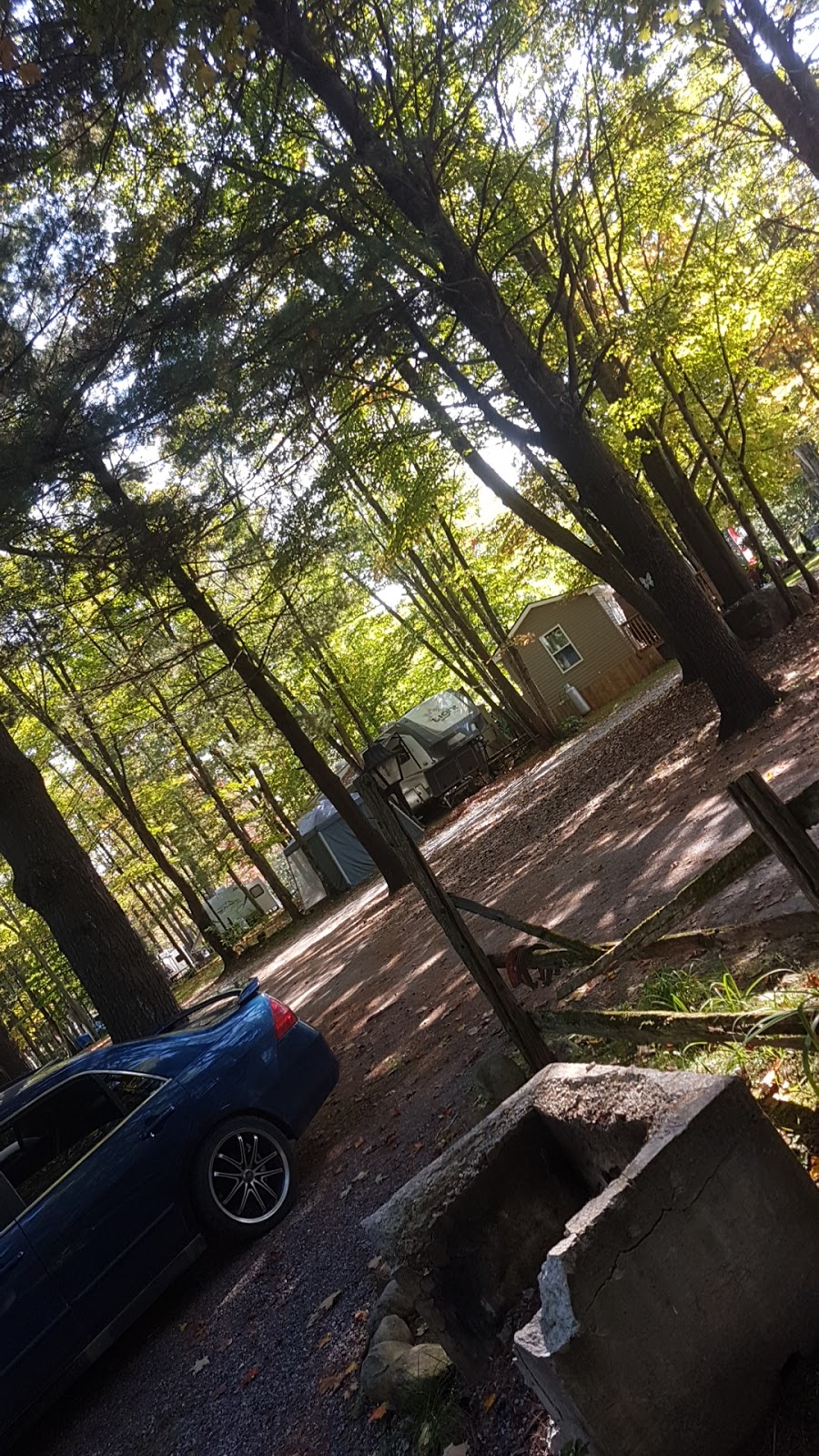 Butterfly Lake Resort | 1072 Whites Rd, Port Carling, ON P0B 1J0, Canada | Phone: (705) 765-3927