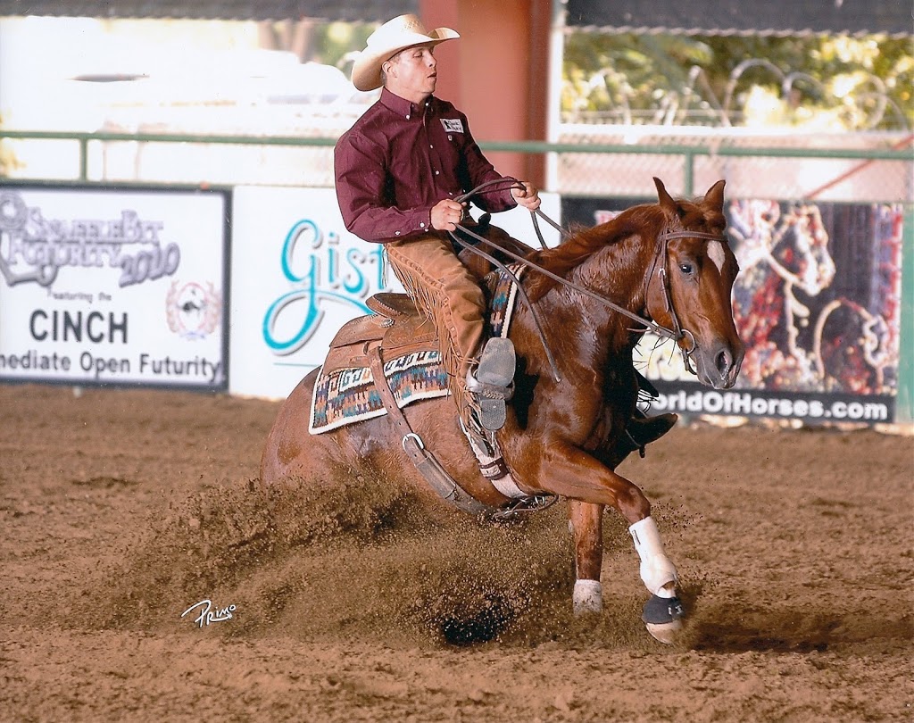 Cayley Wilson Performance Horses, Inc. | 1280 Powerhouse Rd, Abbotsford, BC V3G 1T7, Canada | Phone: (604) 300-0401