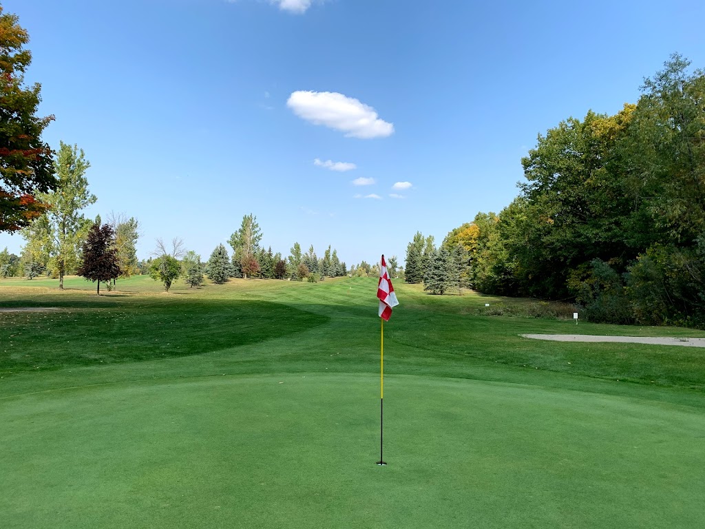 Chippewa Creek Golf | 9639 Chippewa Rd W, Mount Hope, ON L0R 1W0, Canada | Phone: (905) 679-4240