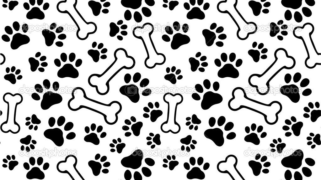 Smallpaws Bigpaws | 1180 Dorval Dr Unit 205, Oakville, ON L6M 3G1, Canada | Phone: (289) 259-9997