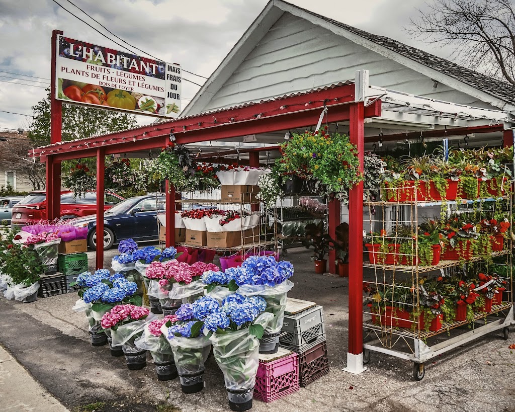 LHabitant | 61 Bd de la Concorde E, Laval, QC H7G 2B6, Canada | Phone: (438) 878-6472